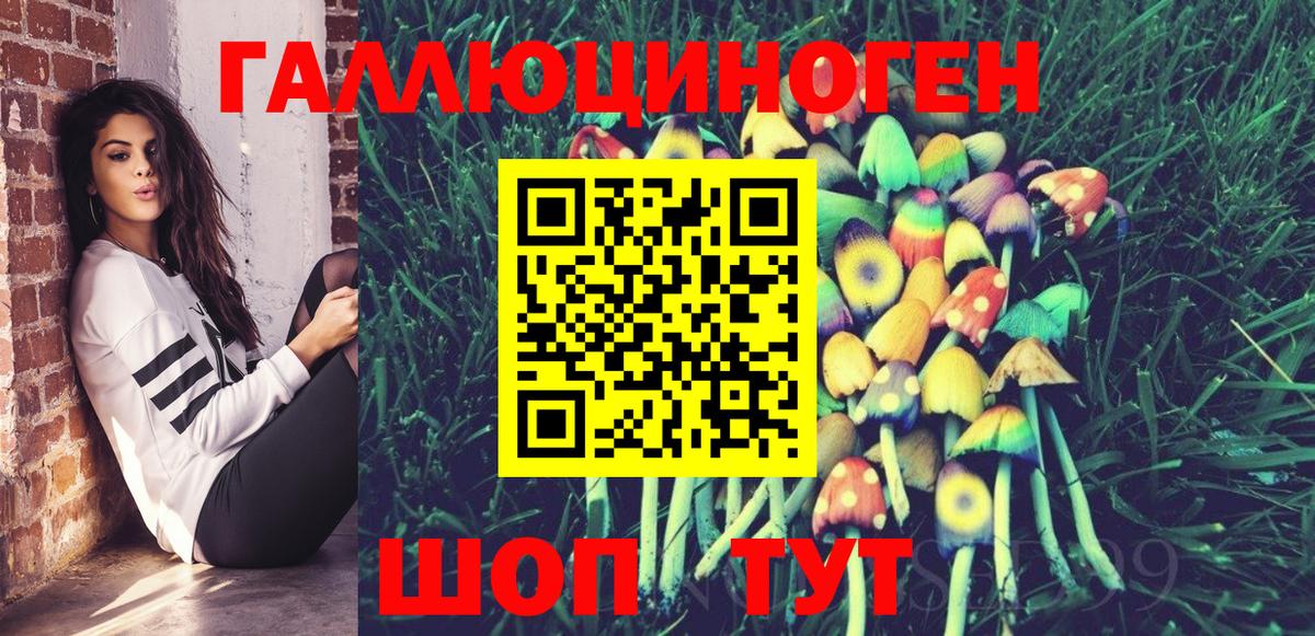 Галлюциногенные грибы Magic Shrooms  Вход с VPN  Знаменск  Галлюциногенные грибы мицелий 
