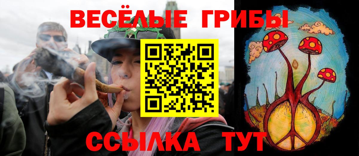 Галлюциногенные грибы GOLDEN TEACHER Знаменск